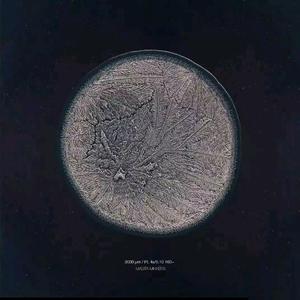 梁老师Tsong-不如不见面（Tequliadot Remix）