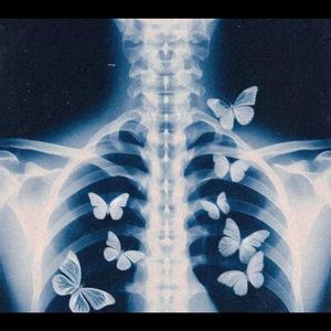 忧伤歌声Affection