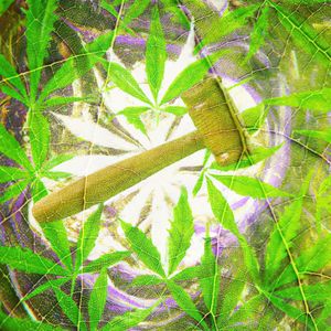 Emerald Legislation