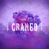 LAVA J - Craneo