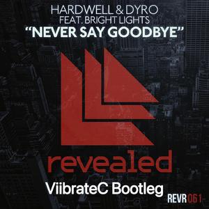 Never Say Goodbye (ViibrateC Bootleg)