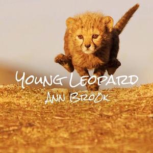 Young Leopard