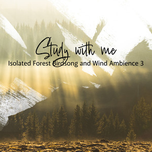 Isolated Forest Birdsong and Wind Ambience, Pt. 5