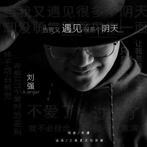 当我又遇见很多个阴天--刘强最终版