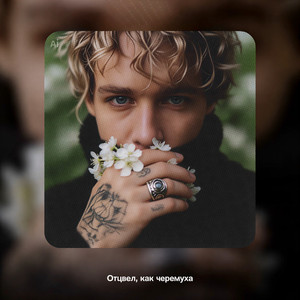 Отцвел, как черемуха