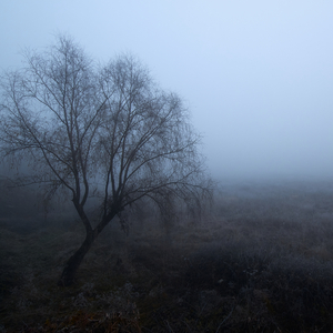 Преждевременная смерть