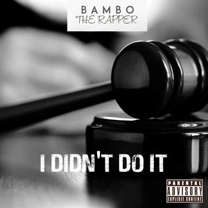 I Didn't Do It