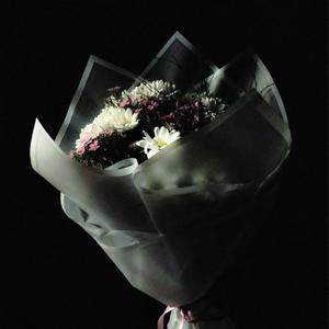 Sensizliğe Alışıyorum