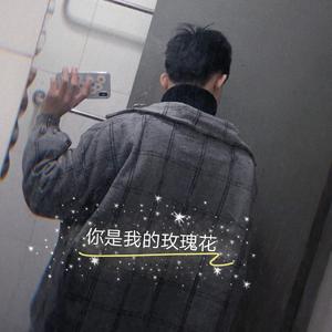 你是我的玫瑰花(Cover：庞龙)