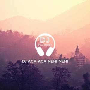 DJ ACA ACA NEHI NEHI