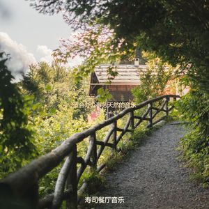 适合居家办公杰出的音乐