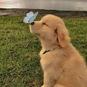 Positions (Slowed + Reverb)