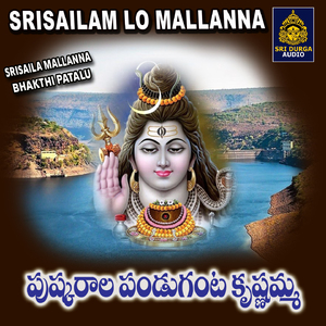Pushkarala panduganta krishnamma