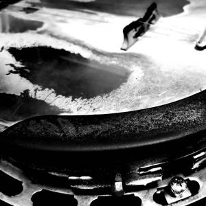 Old Donkey At The End Of The Farm