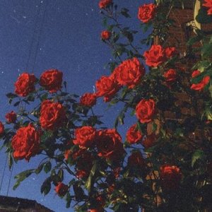 SAM’M-purple（skywalker remix）