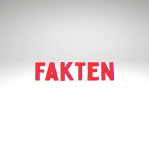 Fakten (Pastiche/Remix/Mashup)