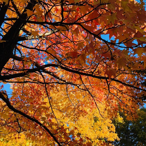 我和你《神奇啊呦》