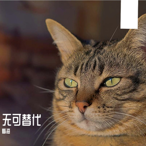 无可替代