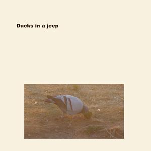 Ducks in a jeep