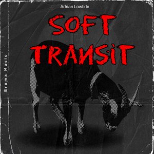 Blurry Window Across Ash