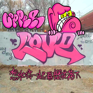 想和你一起看樱花落下