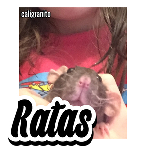 Rata