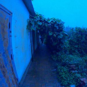 太阳（无人声版伴奏）