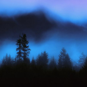 I Don't Know Why Even Im Recording This