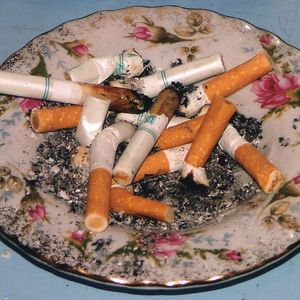 Wearing My Dead Dogs Skin