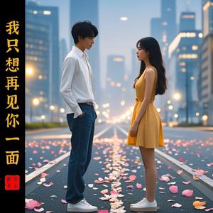 我只想再见你一面
