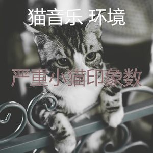 微妙的睡猫心情