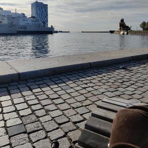 Ce Chapitre (Salut Bonjour)