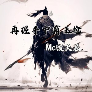 再握手中霸王枪