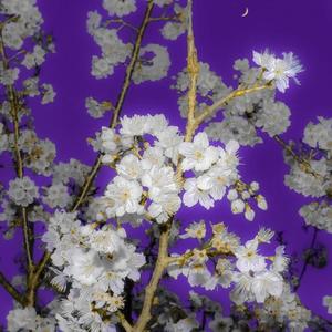 Secret (feat. Lil Duda)