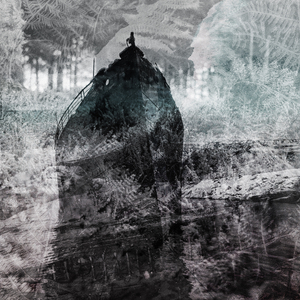 They Thought We Were Gone