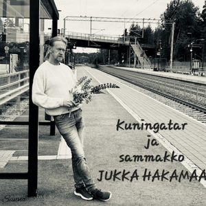 Kuningatar ja sammakko