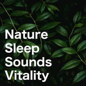 眠りの浅い貴方のための快眠音楽 1分で眠れるヒーリングギター (自律神経を整える睡眠用 森 鳥)