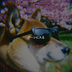 Divine The Cozy Dogs