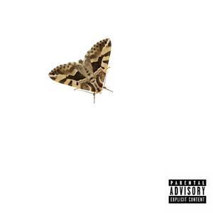 Tiramisù (feat. Solo Falena)