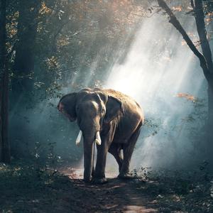 J'suis dans ma game (feat. Rahim)