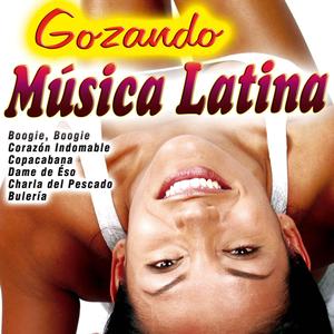 Chacarrón (Shark Around)