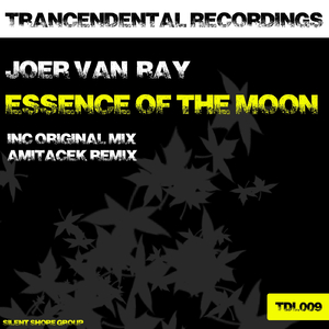 Essence Of The Moon (Amitacek Remix)