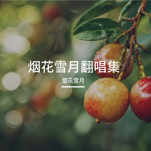 爱似水仙（cover 金海心）