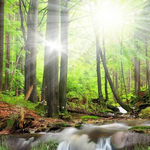 美丽的遗憾-艾岩