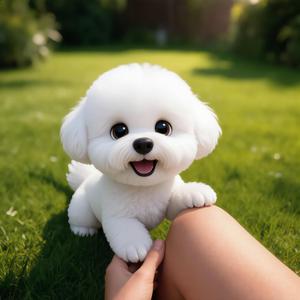 가나디송 (Puppy Song)