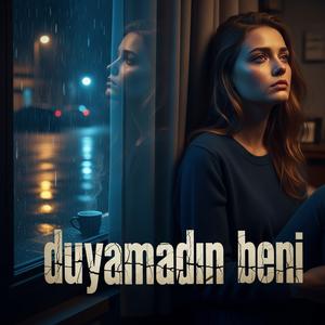 Duyamadın Beni