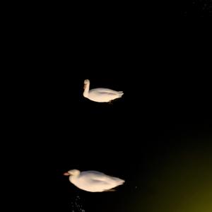 甜舍小店（prod by Bubbleboy）