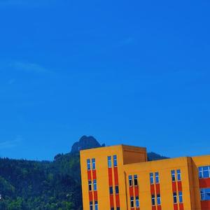 想问你是否愿不愿意（像极了）