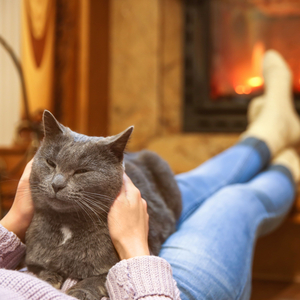 Firelight's Furry Fable