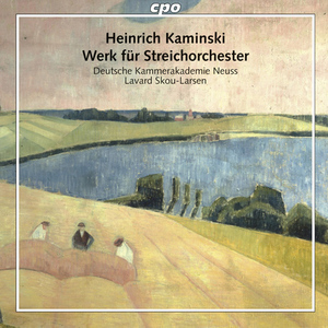 Werk fur Streichorchester:I. Adagio - Allegro - Andante